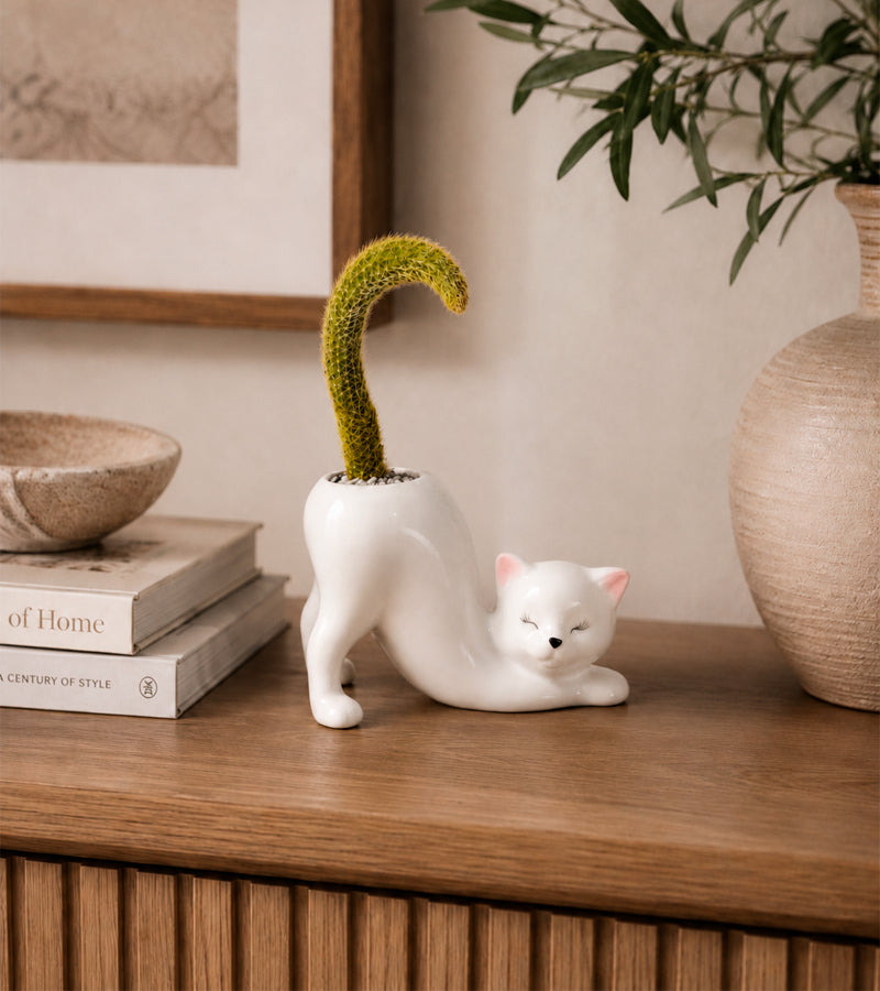 Portavaso Gatto Yoga
