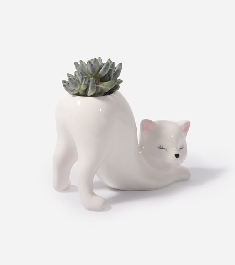 Portavaso Gatto Yoga