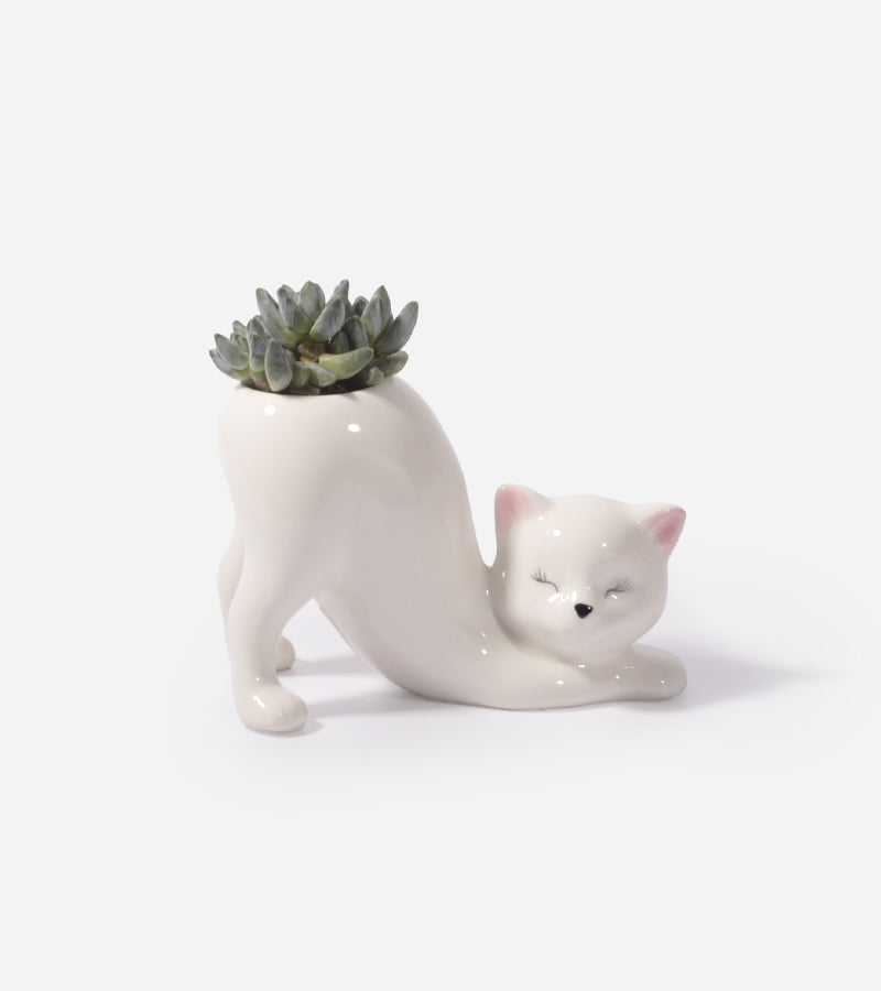 Portavaso Gatto Yoga