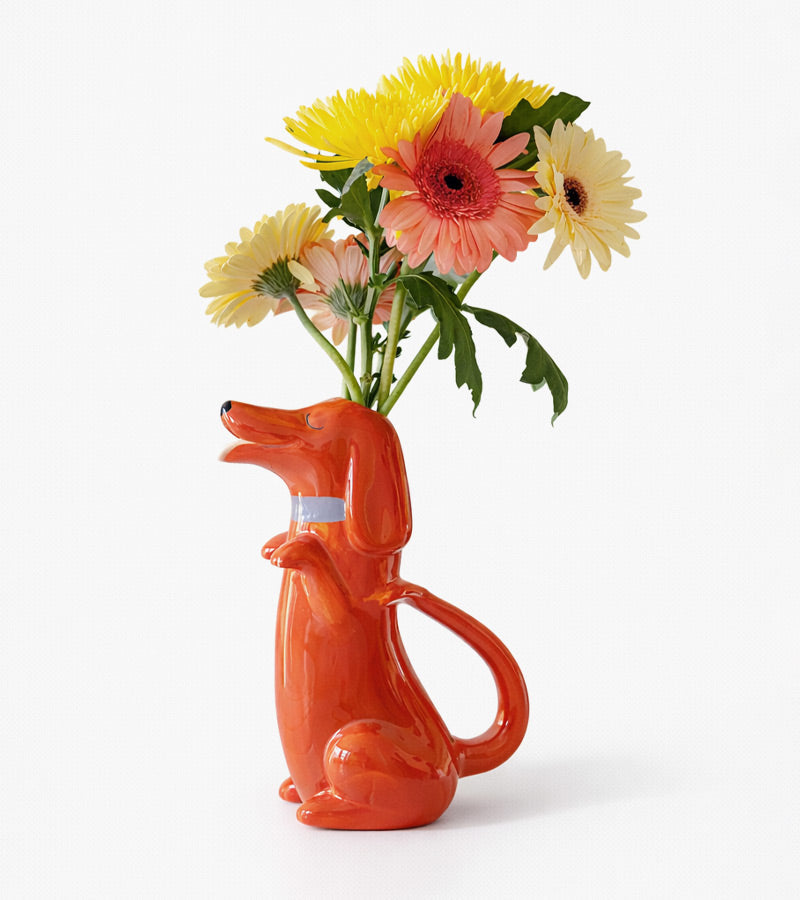 Caraffa Bassotto