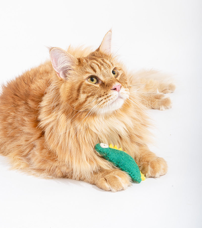 Dino en laine pour chats  Ware of the dog