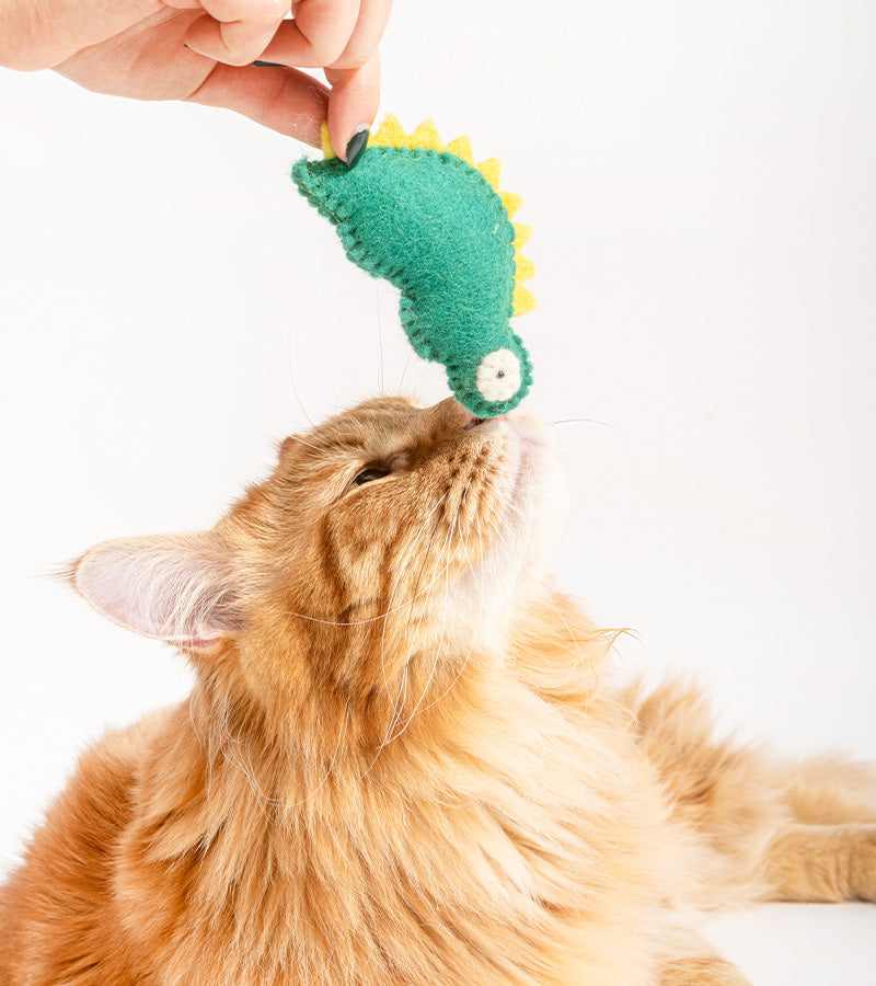 Dino en laine pour chats  Ware of the dog