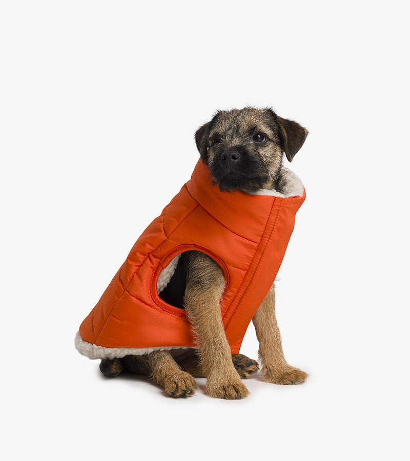 Giacca in piumino Sherpa per cani