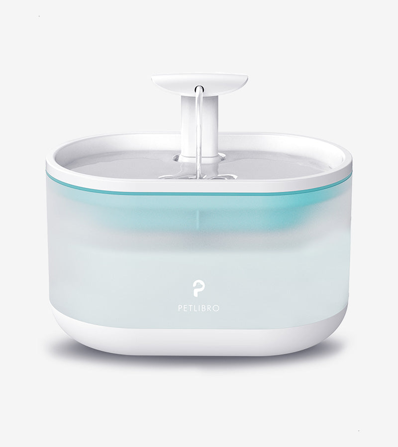 Fontaine à eau pour chats ultra-silencieuse  