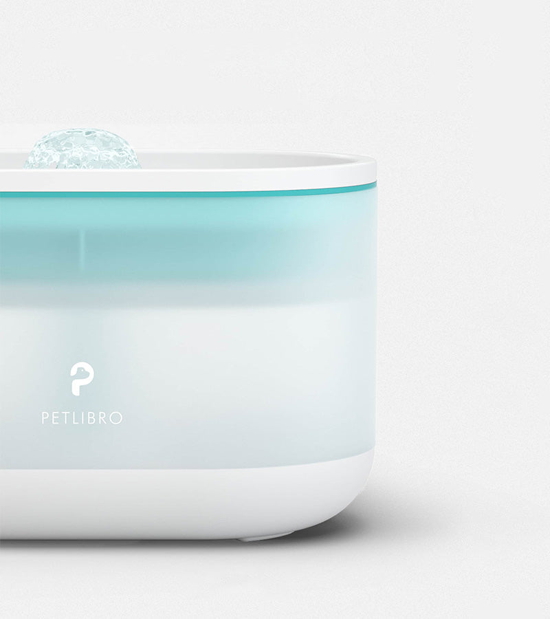 Fontaine à eau pour chats ultra-silencieuse  