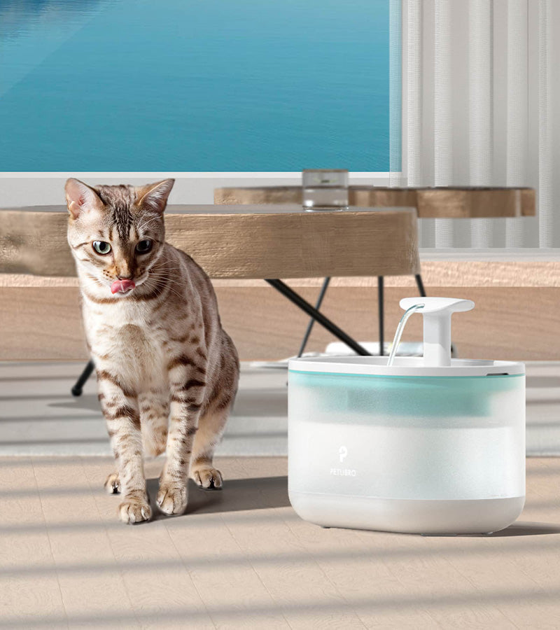 Fontaine à eau pour chats ultra-silencieuse  