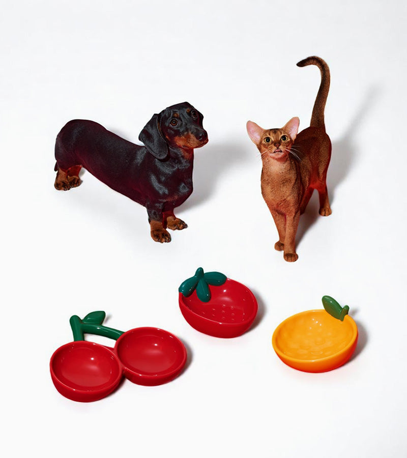 Gamelle fraise en céramique