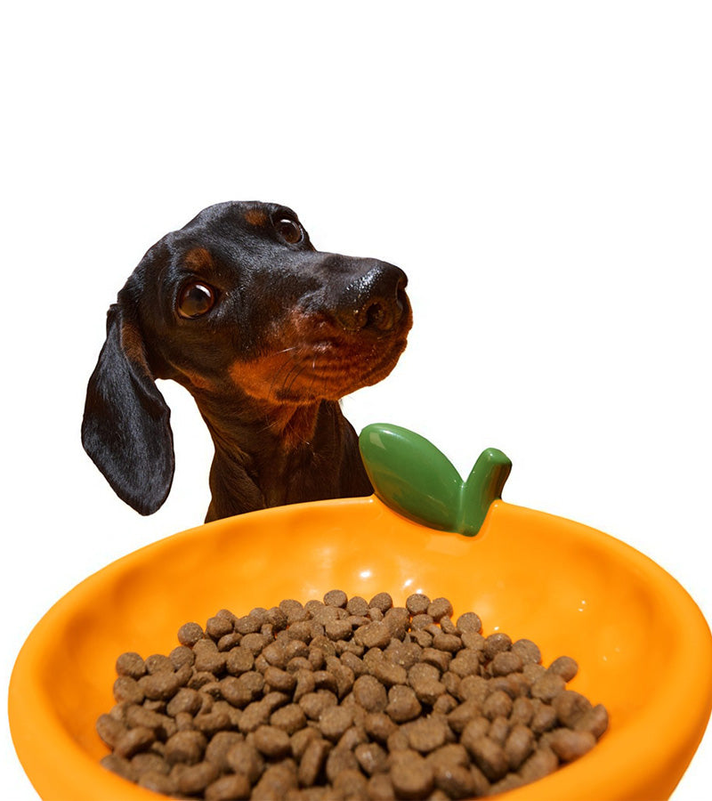 Gamelle mandarine en céramique