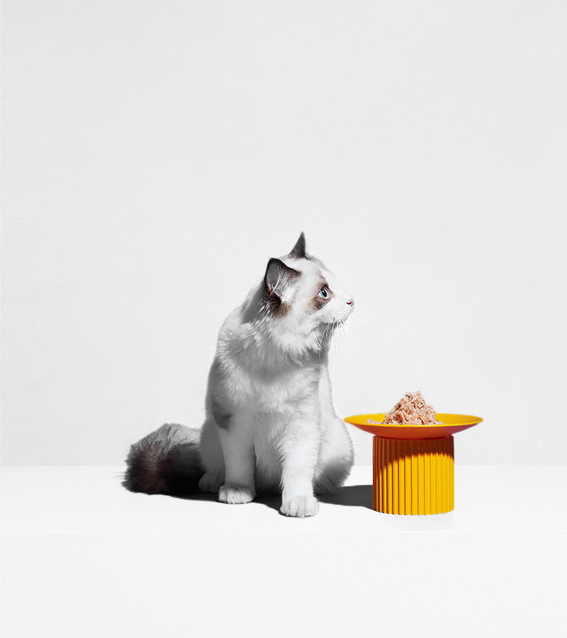 Gamelles surélevées design Bol Bleu purrre