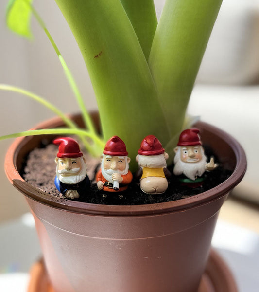Mini gnomi da giardino impertinenti
