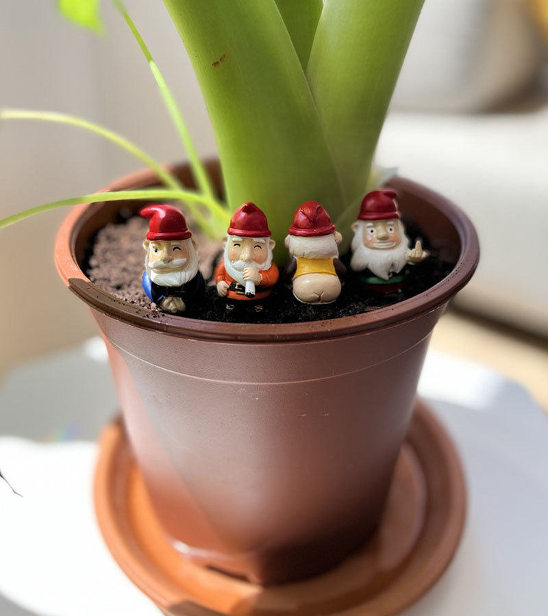 Mini gnomi da giardino impertinenti