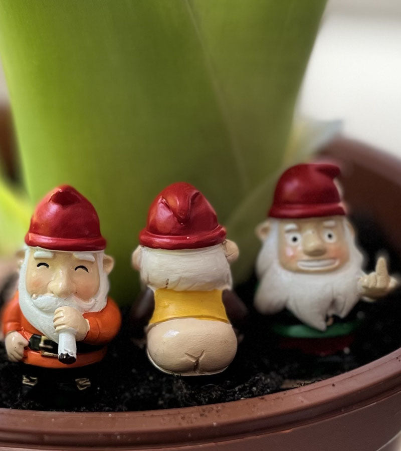 Mini gnomi da giardino impertinenti