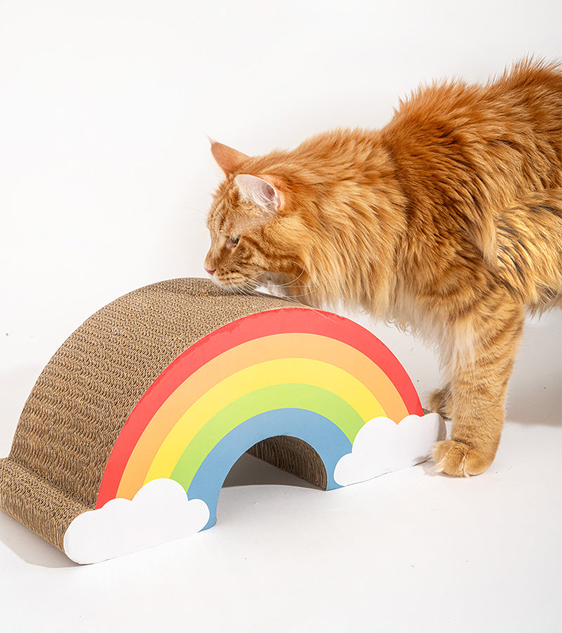 Tiragraffi arcobaleno per gatti