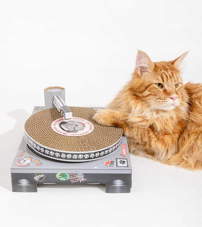 Tiragraffi per gatti con set da DJ