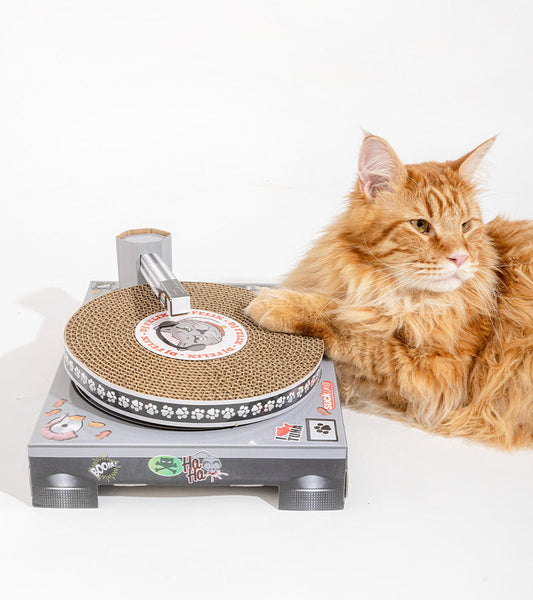 Tiragraffi per gatti con set da DJ