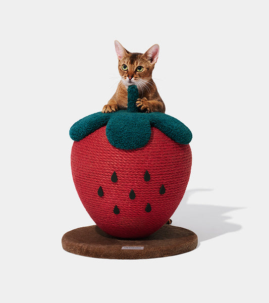 Grattatoio fragola per gatti