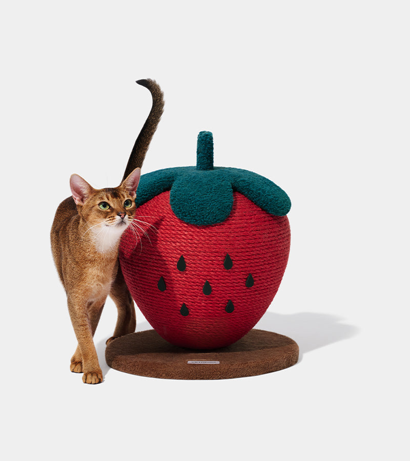 Griffoir fraise pour chats