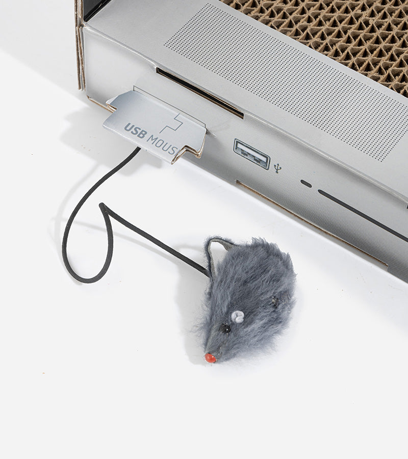 Griffoir ordinateur pour chats  suck uk