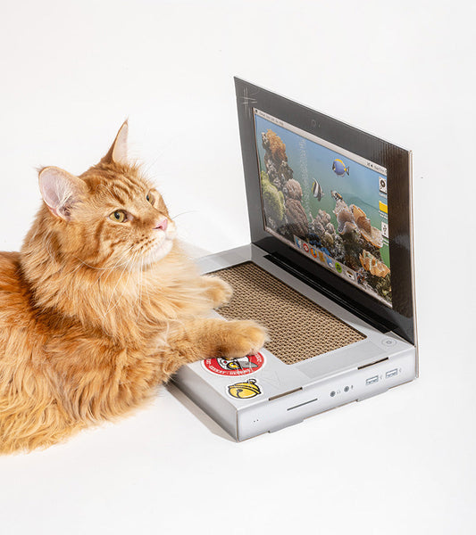 Tiragraffi per computer per gatti