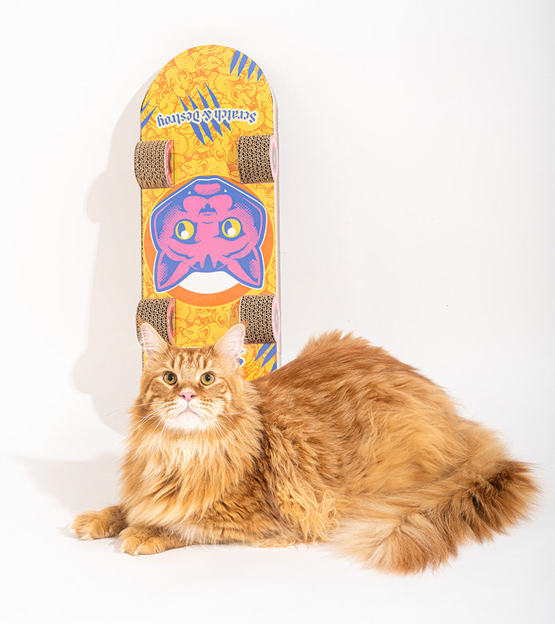 Griffoir skateboard pour chats  suck uk
