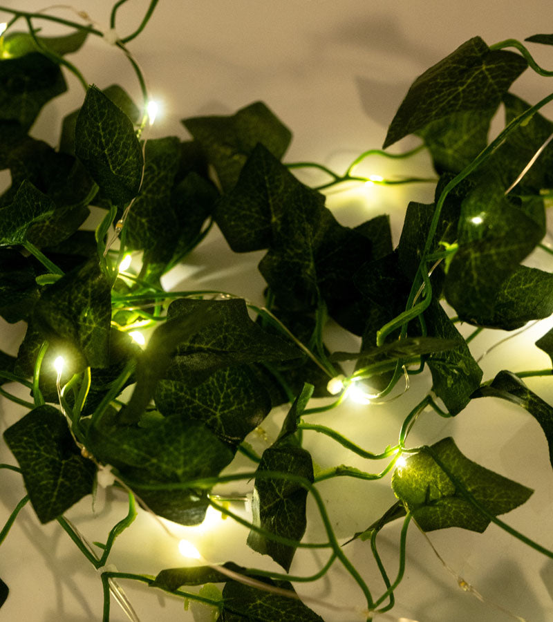 Ghirlanda luminosa di edera