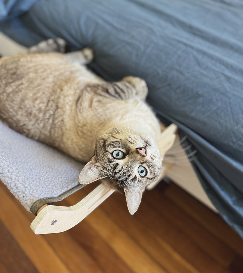 Hamac en bois pour chats