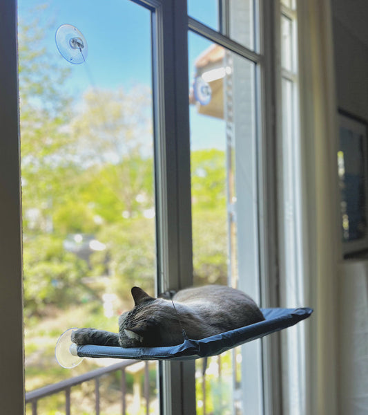Amaca sospesa per gatti