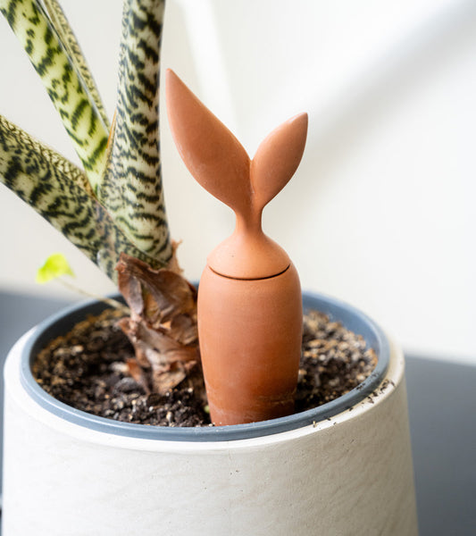 Irrigatore in terracotta