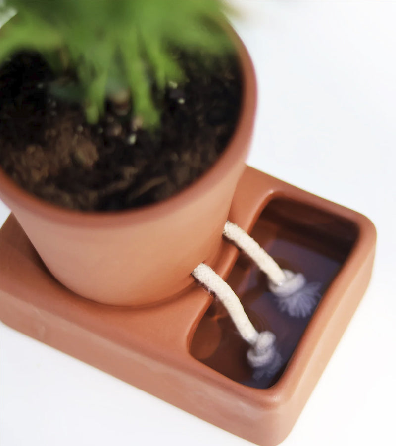 Fioriera autoirrigante