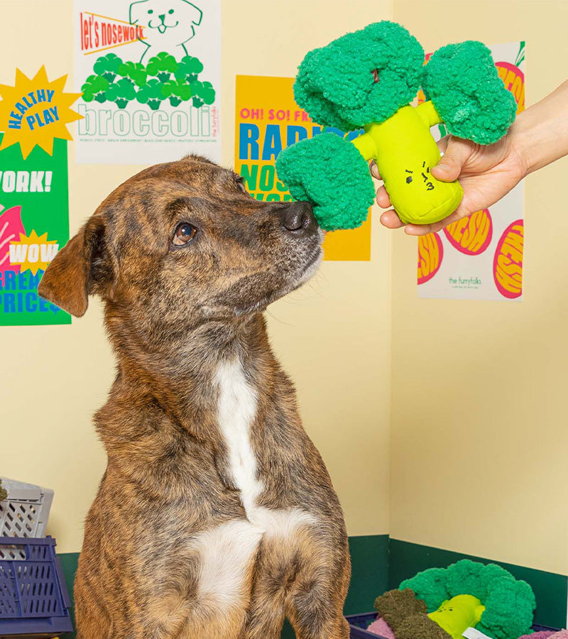 Jouet de flair pour chiens - Brocoli