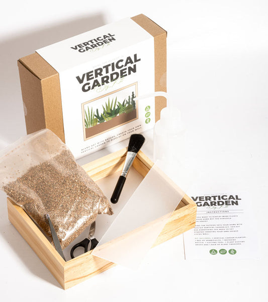 Kit fai da te per giardino verticale