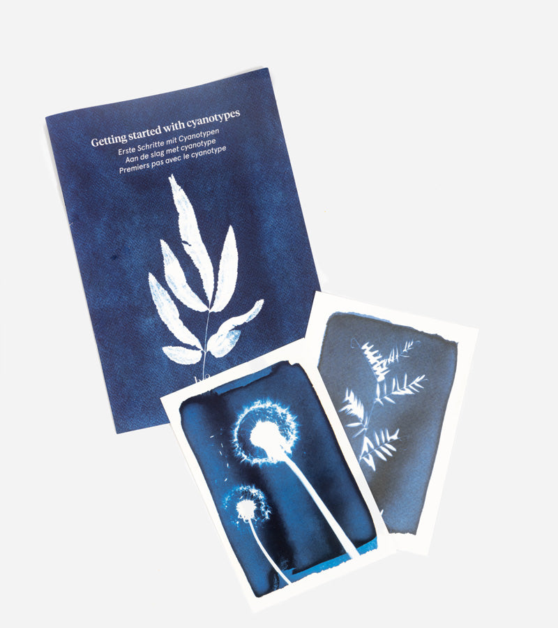 Kit DIY de Cyanotypes  Botanopia