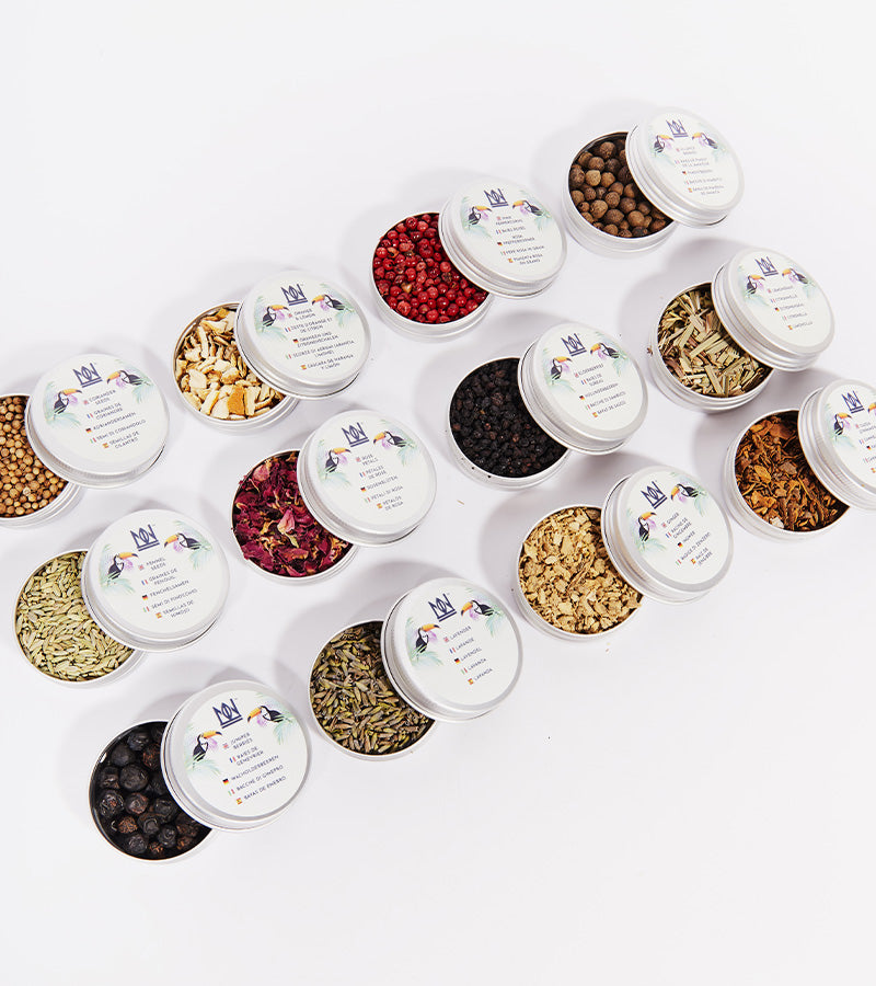 Kit pour infuser votre gin