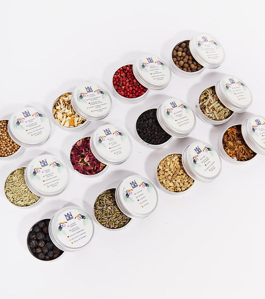 Kit pour infuser votre gin