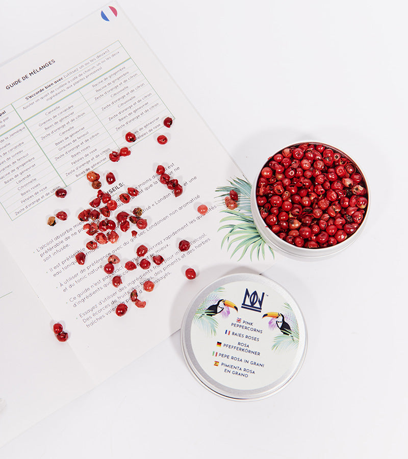 Kit pour infuser votre gin