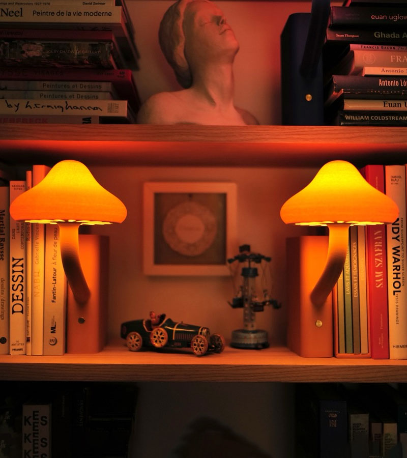 Lampe-livre champignon