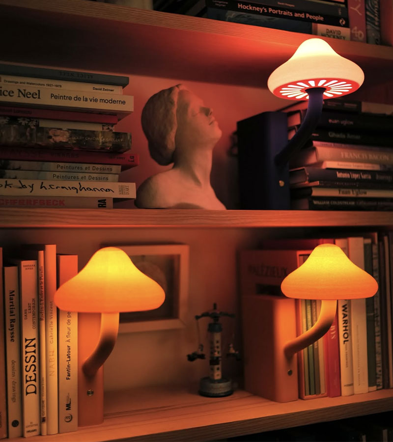 Lampe-livre champignon