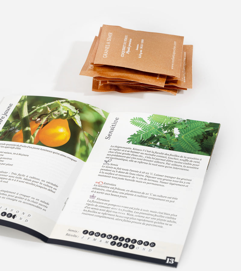 Légumes insolites à faire pousser  Radis & Capucine