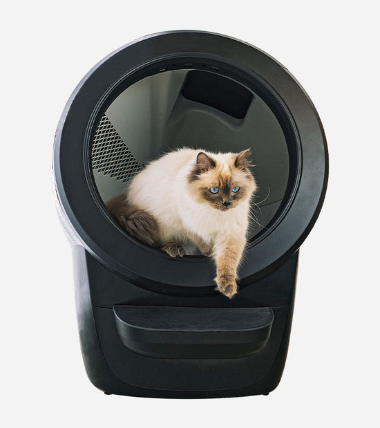 Litière autonettoyante - Litter-Robot 4  