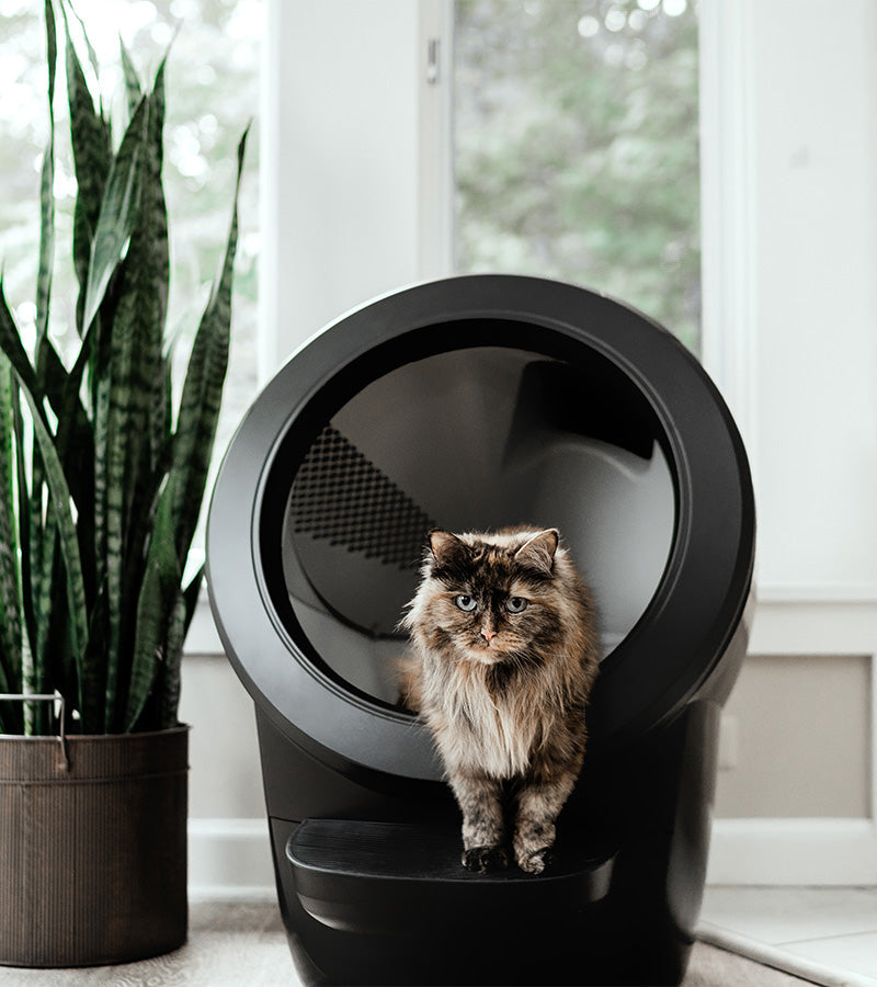 Lettiera autopulente - Litter-Robot 4