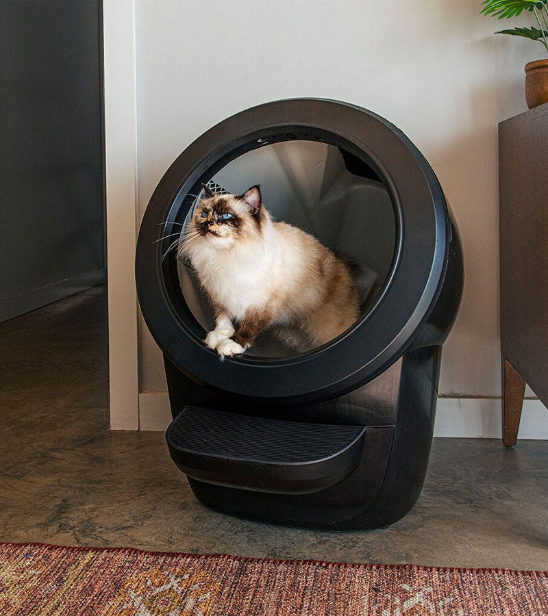 Lettiera autopulente - Litter-Robot 4
