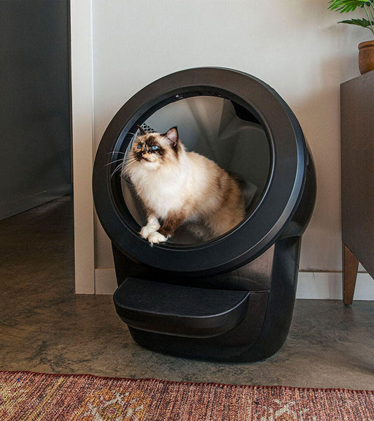 Lettiera autopulente - Litter-Robot 4