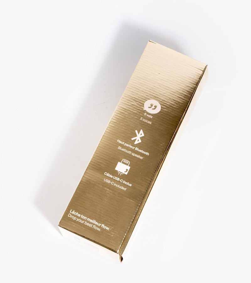 Micro enceinte Karaoké