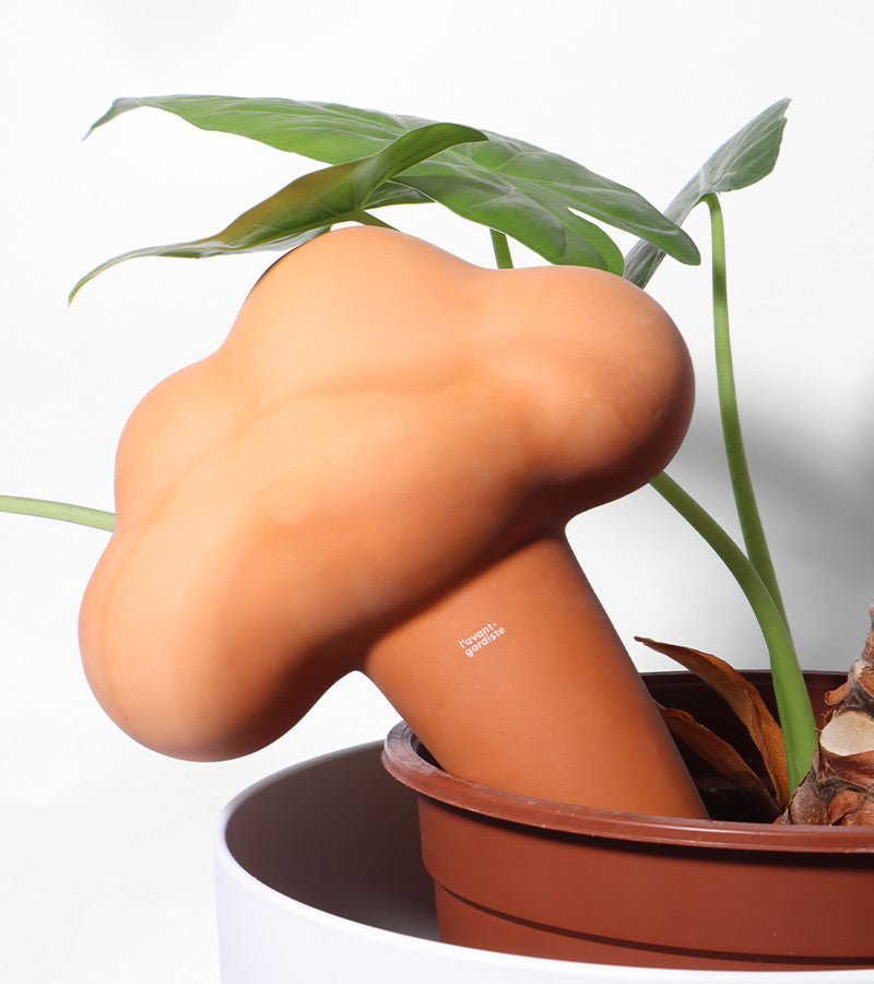 Irrigatore nuvola in terracotta