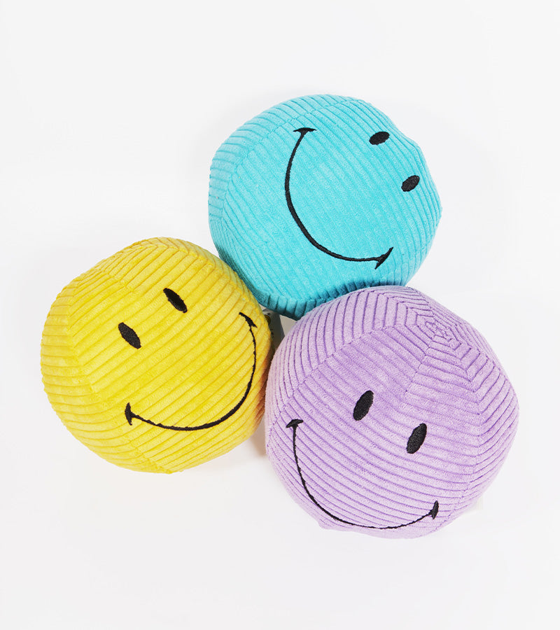 Petite peluche Smiley