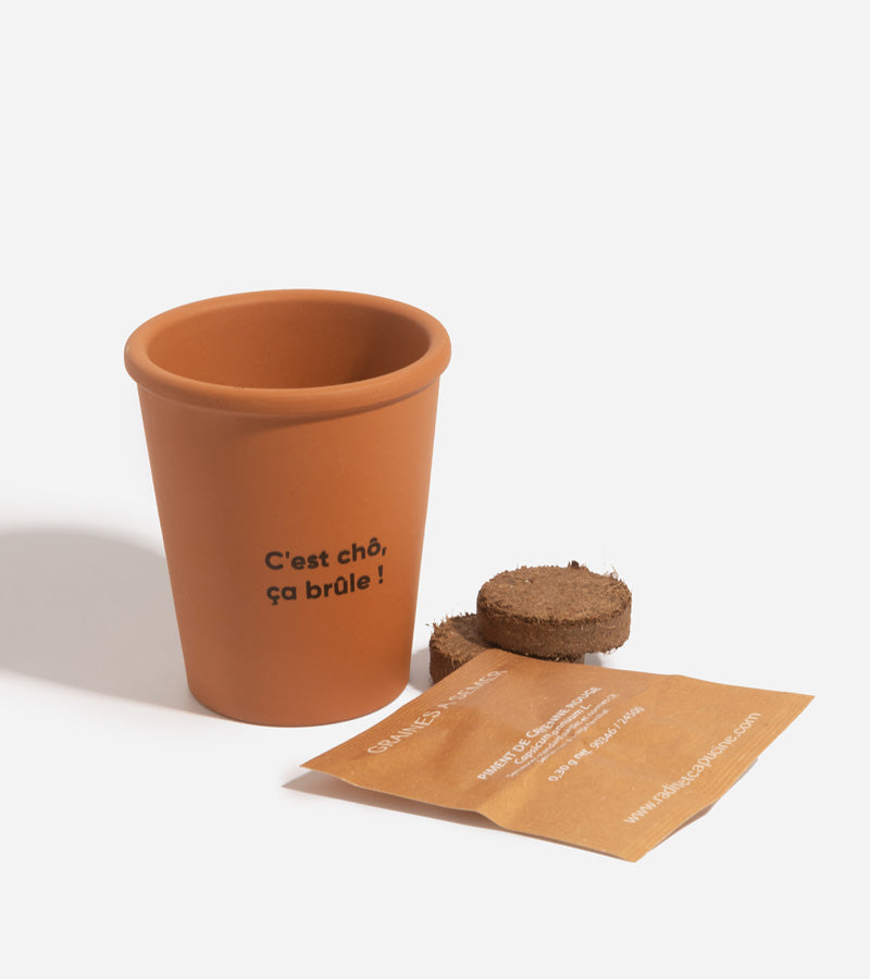 Piment à faire pousser  L'Avant Gardiste