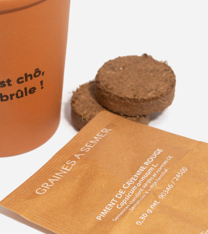 Piment à faire pousser  L'Avant Gardiste