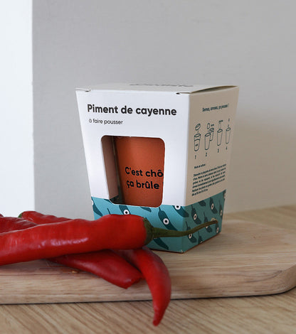 Piment à faire pousser  L'Avant Gardiste