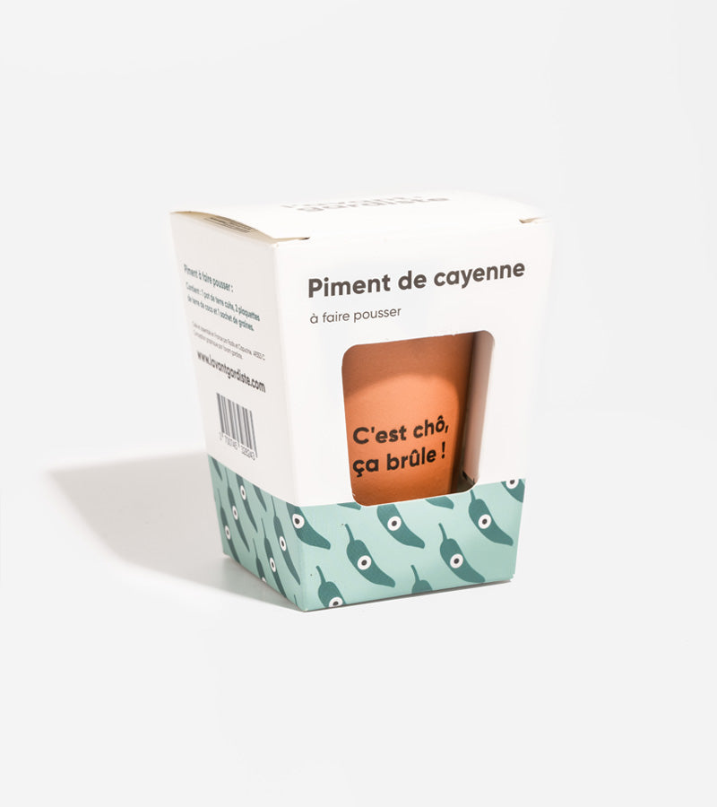 Piment à faire pousser  L'Avant Gardiste