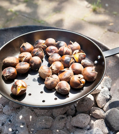 Padella per castagne da barbecue